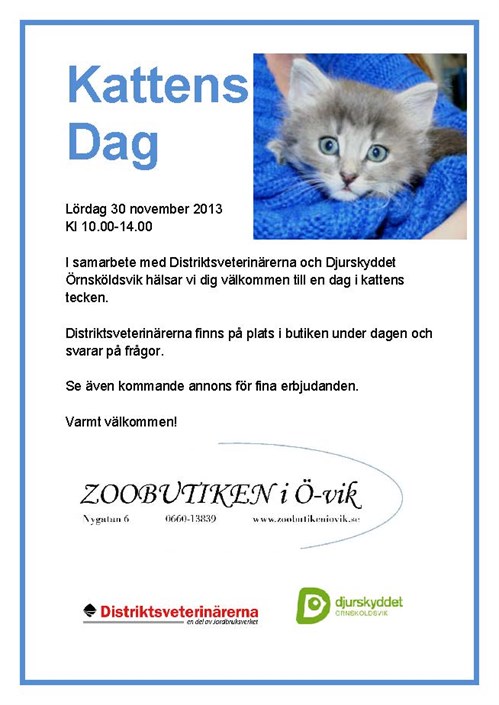Zoobutiken kattens dag